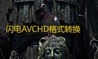 闪电AVCHD格式转换器 7.9.3 官方版