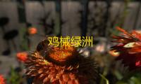 鸡械绿洲